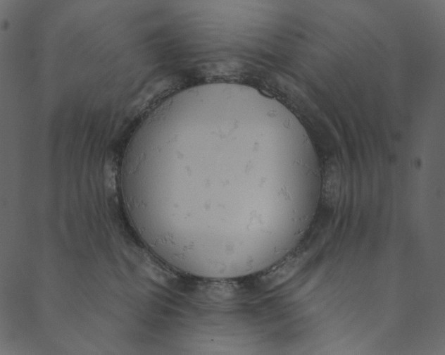 X0000089670282200707121231