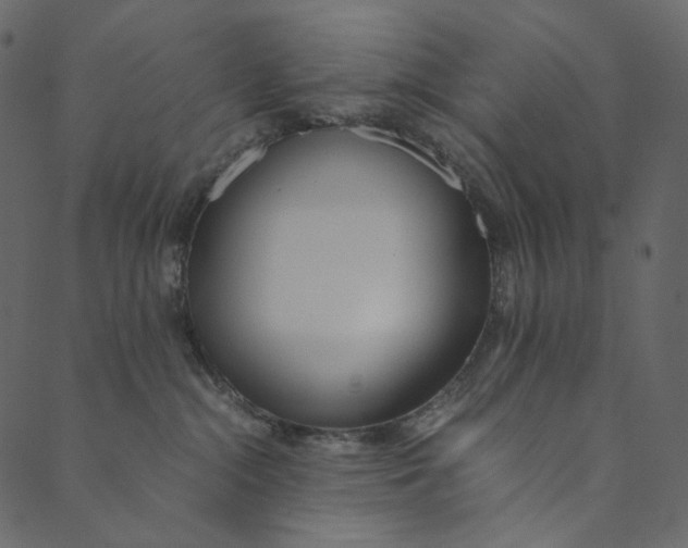 X0000089670284200707121231