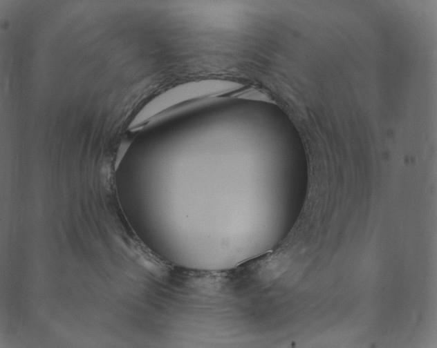 X0000089670288200707121232