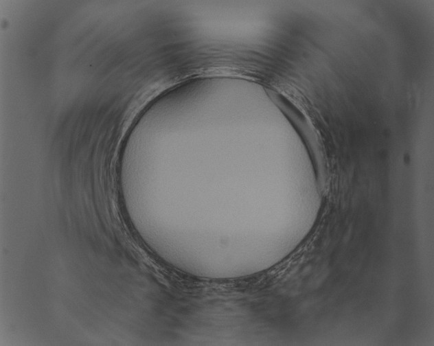 X0000089670289200707121231