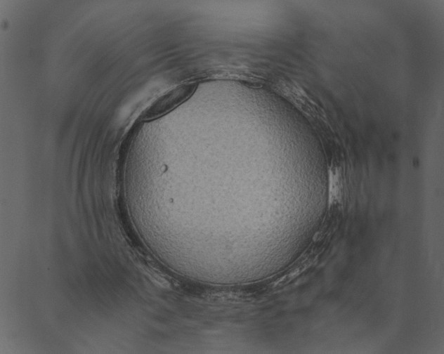 X0000089670291200707121231