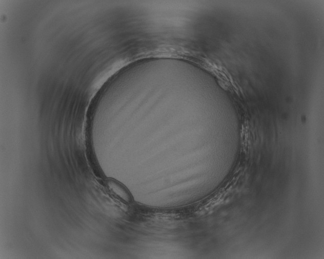 X0000089670292200707121231