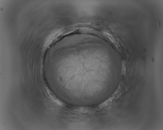 X0000089670293200707121231