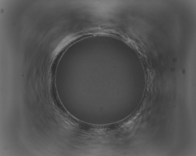 X0000089670295200707121231