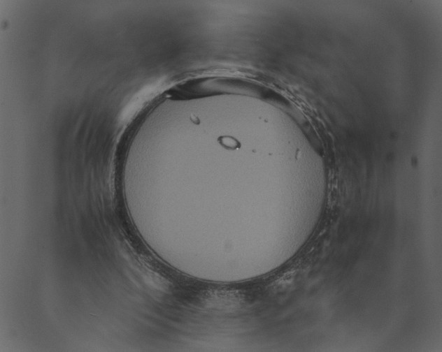 X0000089670296200707121231