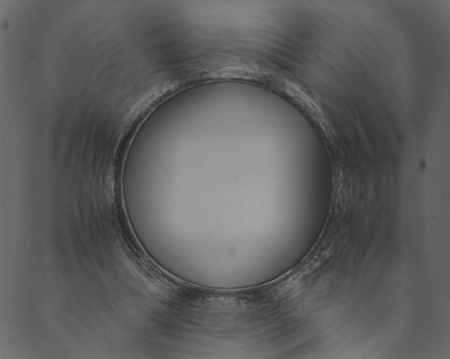 X0000089670298200707121231