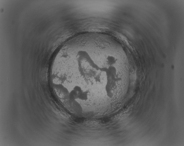 X0000089670299200707121231