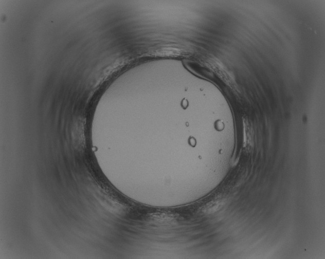 X0000089670300200707121231