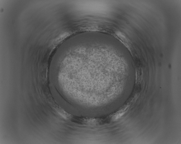 X0000089670301200707121231