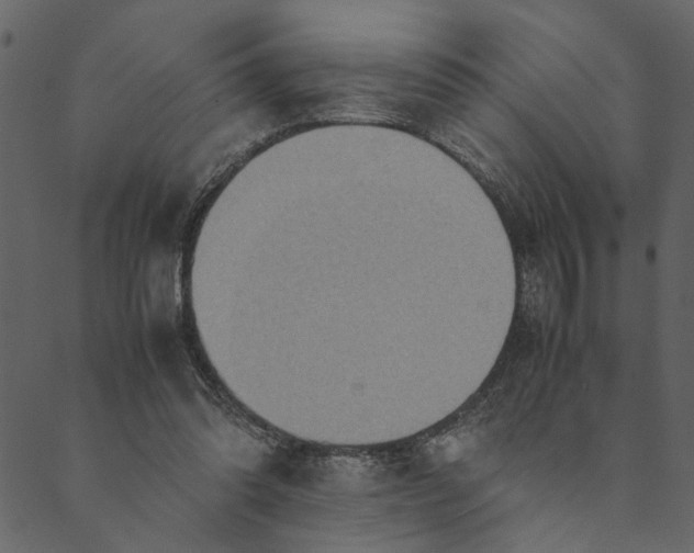 X0000089670302200707121231