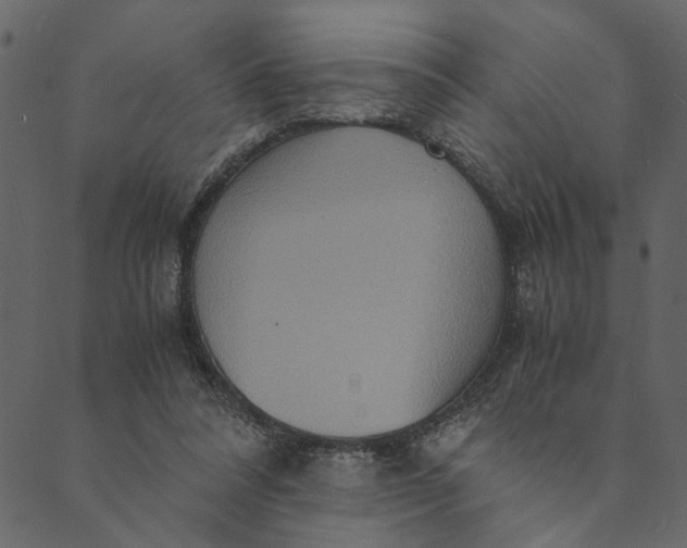 X0000089670304200707121230