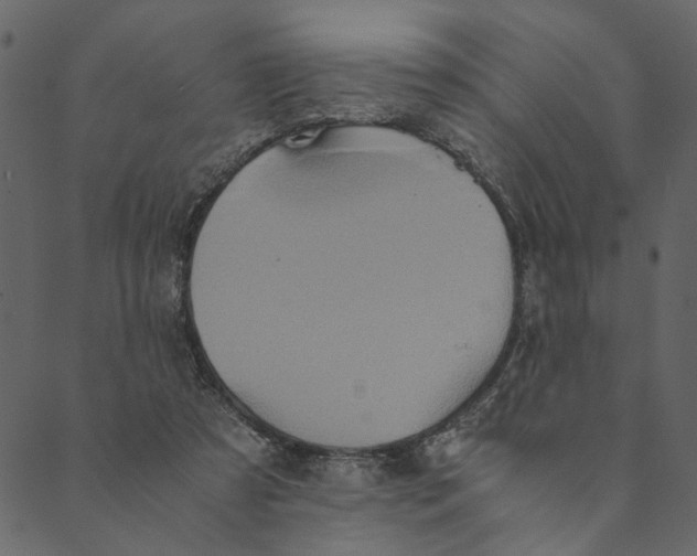 X0000089670305200707121230