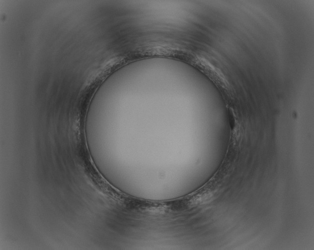 X0000089670306200707121230