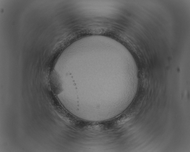 X0000089670307200707121230