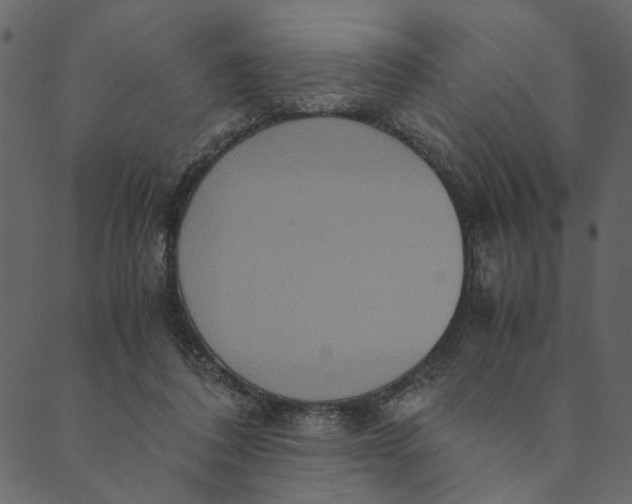 X0000089670308200707121230