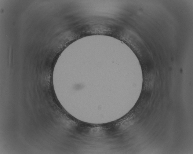 X0000089670309200707121230