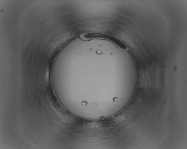 X0000089670310200707121230