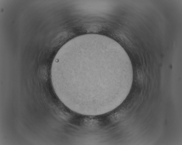 X0000089670311200707121230