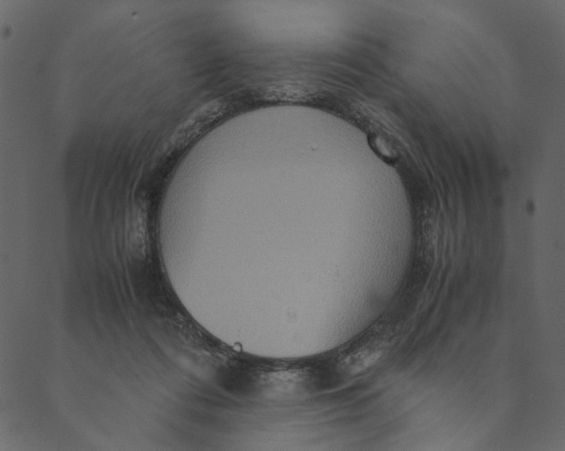 X0000089670312200707121230