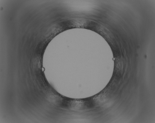 X0000089670313200707121230