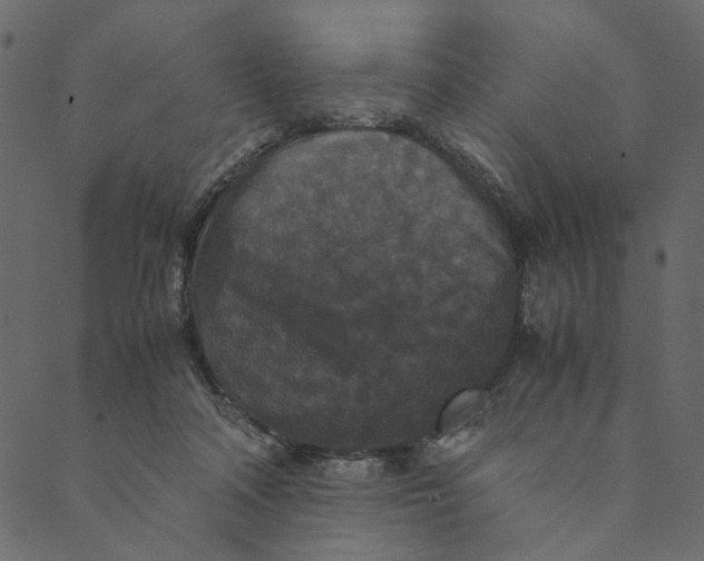 X0000089670314200707121230