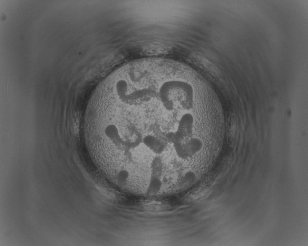 X0000089670315200707121230