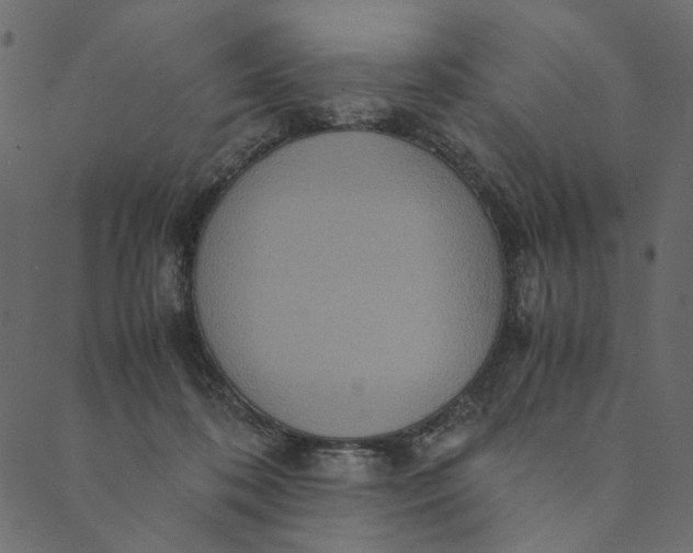 X0000089670316200707121230