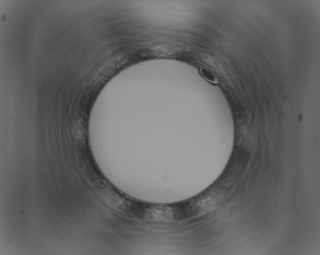 X0000089670317200707121230