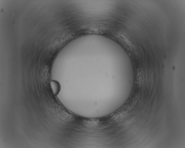 X0000089670318200707121230