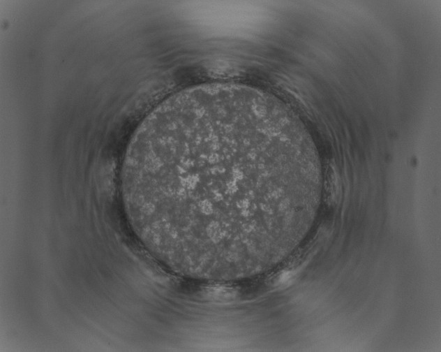 X0000089670319200707121230