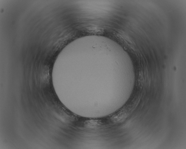 X0000089670320200707121230