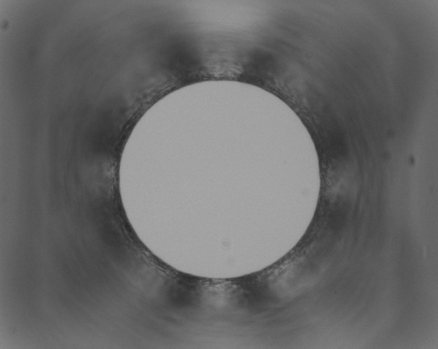 X0000089670321200707121230