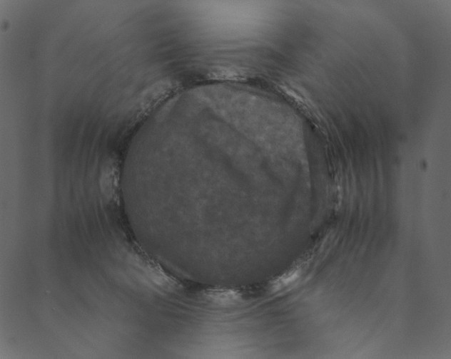 X0000089670322200707121230