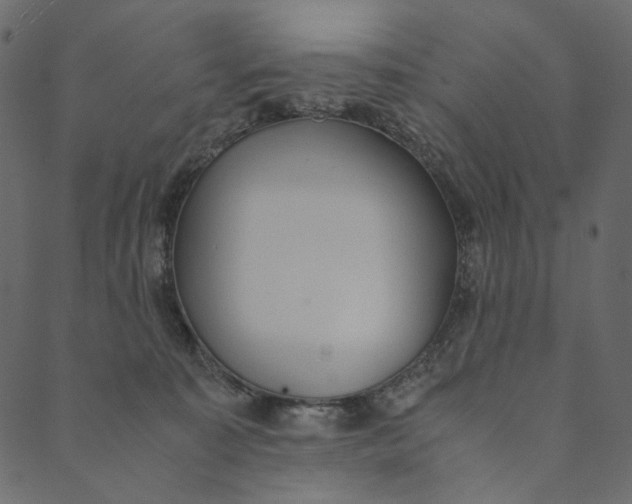 X0000089670323200707121230