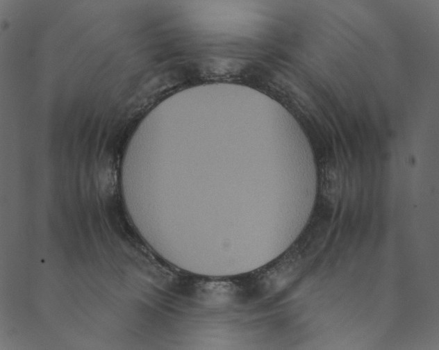 X0000089670324200707121230