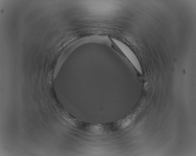 X0000089670325200707121230