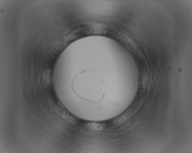 X0000089670326200707121230