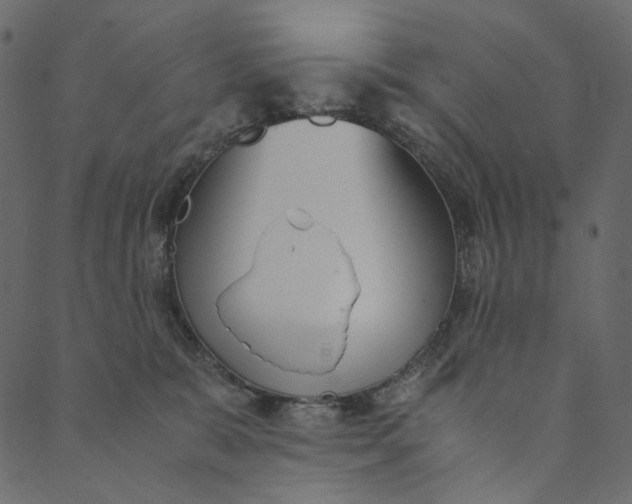 X0000089670327200707121230