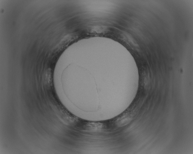 X0000089670328200707121230