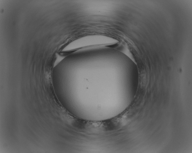 X0000089670329200707121230