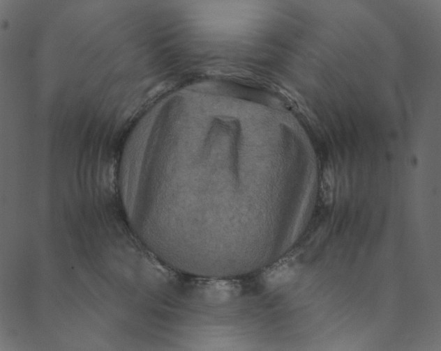 X0000089670330200707121230