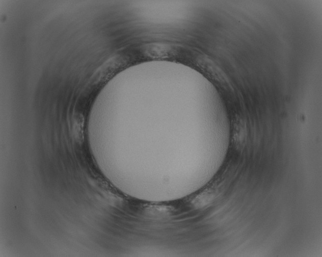 X0000089670332200707121230