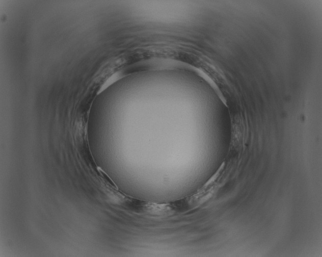 X0000089670333200707121230