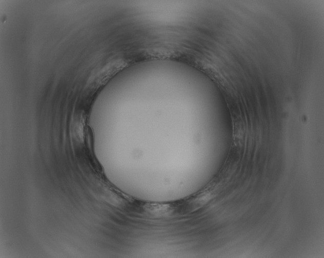 X0000089670334200707121230