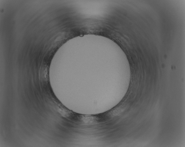 X0000089670336200707121230