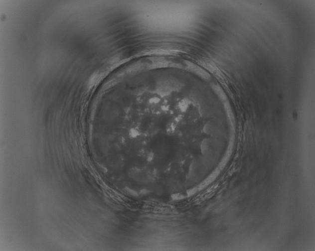 X0000089670337200707121229