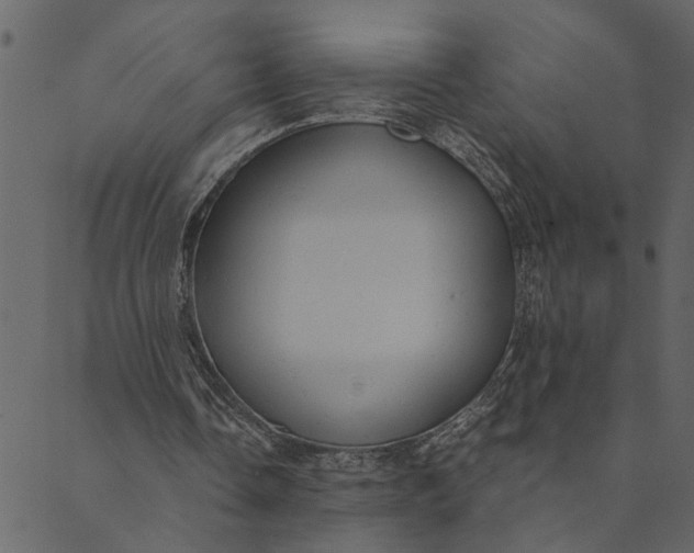 X0000089670338200707121229