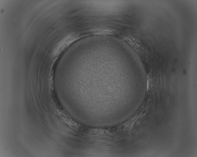 X0000089670339200707121229