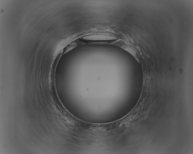 X0000089670340200707121229