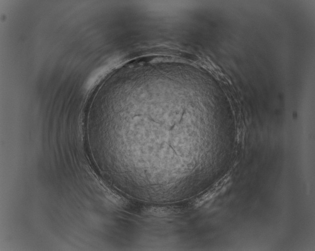 X0000089670341200707121229